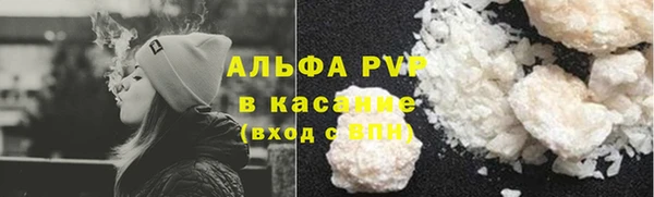 гашик Белокуриха