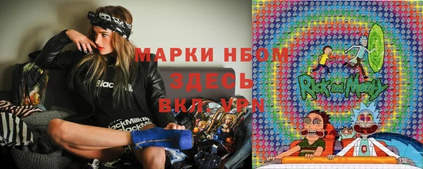 spice Богданович